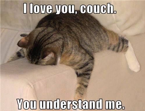 I Love You, Couch You Understand Me Funny Animal Picture