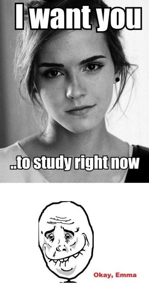 I Want You To Study Right Now Funny Emma Watson Meme