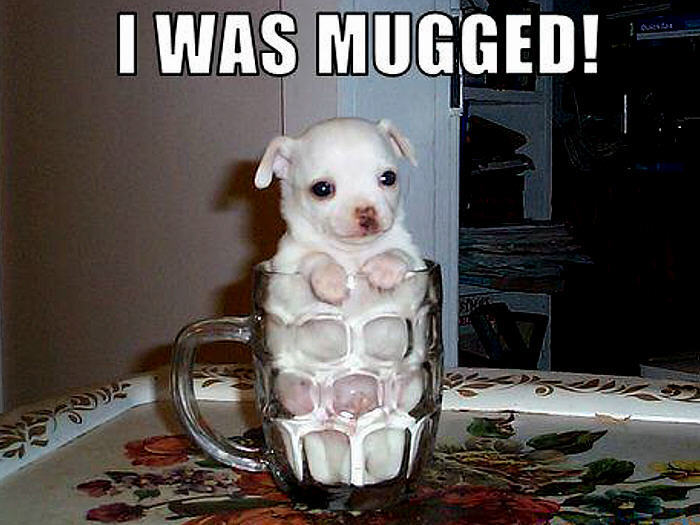 I Was Mugged Funny Dog In Mug