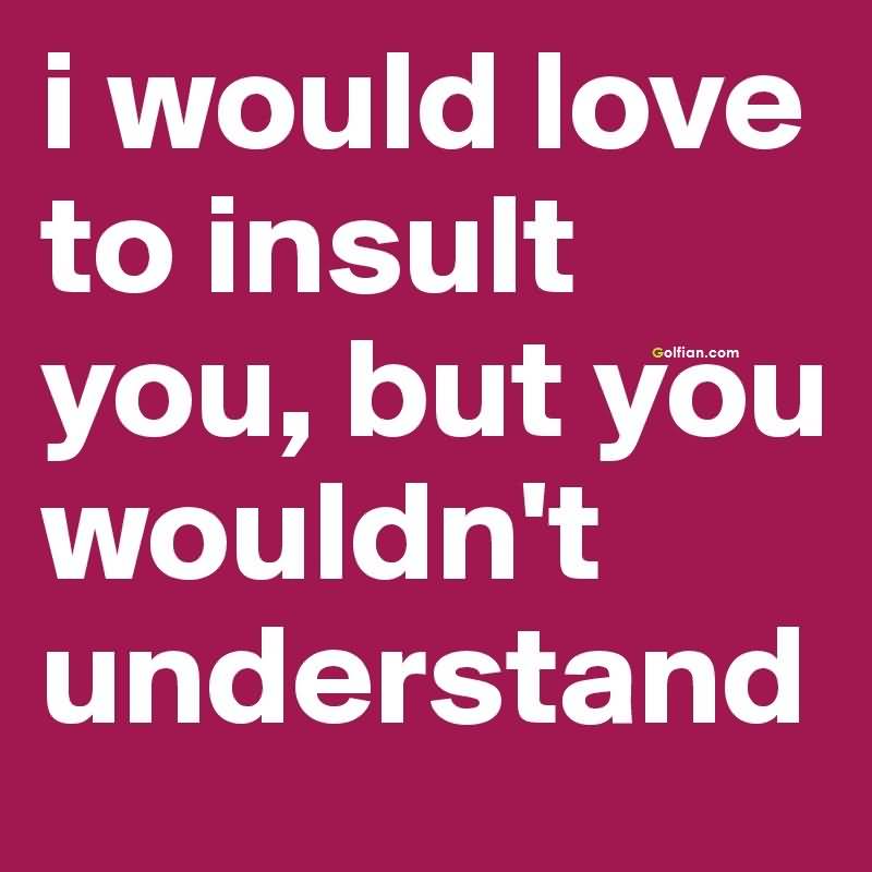 I would love to insult you, but you wouldn’t understand