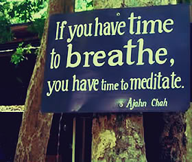 If you have time to breathe you have time to meditate. Ajahn Chah