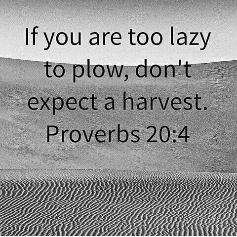 If you’re too lazy to plow, don’t expect a harvest