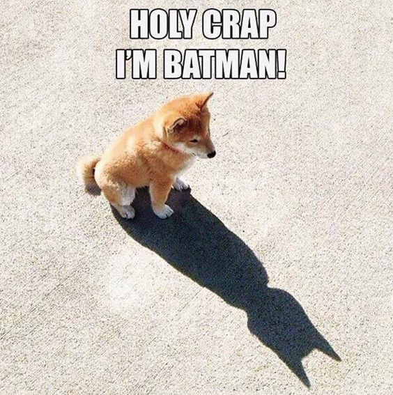 I’m Batman Funny Dog Shadow