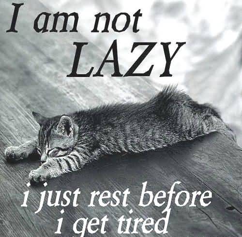 Im Not Lazy. I Just Rest before I Get Tired