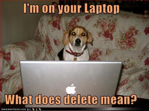 I'm On Your Laptop What Does Delete Mean? Funny Dog