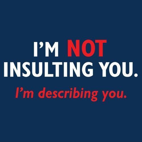 I’m not insulting you. I’m describing you