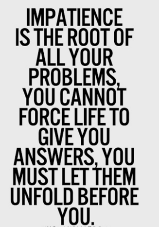 Impatience is the root of all your problems, you cannot force life to give you answers, you must let them unfold for you