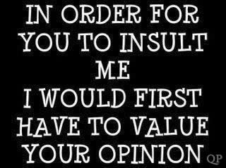 In order for you to insult me, I would first have to value your opinion