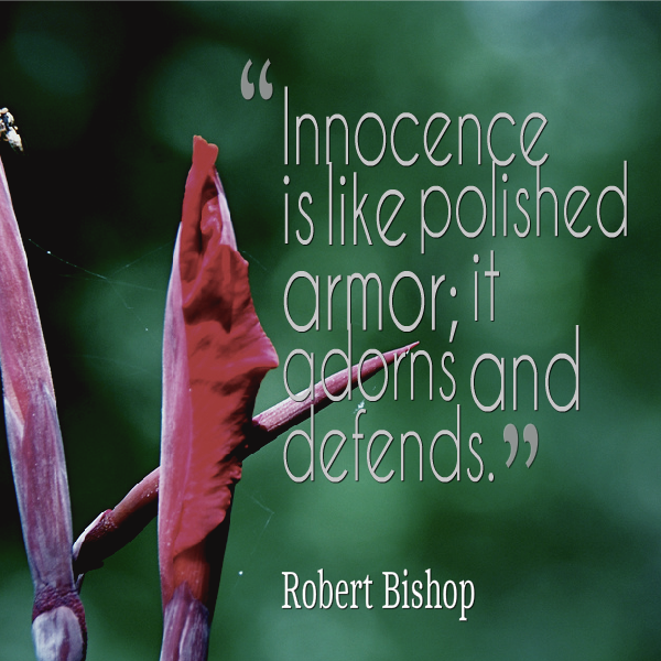 Innocence is like polished armor it adorns and defends. Robert Bishop