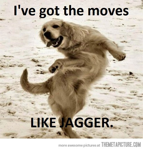 I’ve Got The Moves Like Jagger Funny Dog Picture