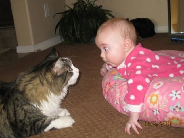 Kid With Cat Funny Photo