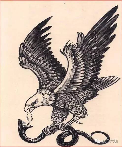 Latest Black Ink Eagle With Snake Tattoo Design