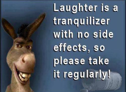 Laughter is a tranquilizer with no side effects, so please take it regularly
