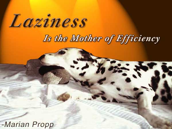 Laziness is the mother of Efficiency. Marian Propp