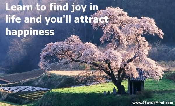 Learn to find joy in life and you'll attract happiness