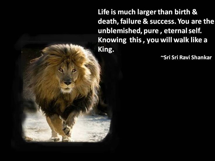 Life is much larger than birth & death, failure & success. You are the unblemished, pure,eternal self. Knowing this, U will walk like a king. Sri Sri Ravi Shankar