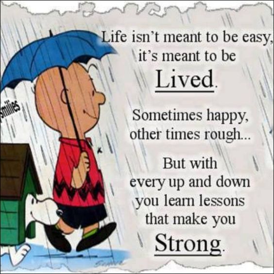Life isn't meant to be easy. It's meant to be lived. Sometimes happy, other times rough. But with every up and down you learn lessons that make ...