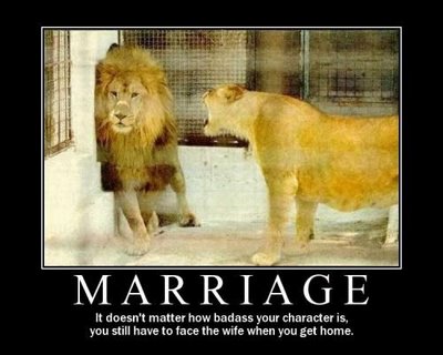 Lion After Marriage Funny Picture