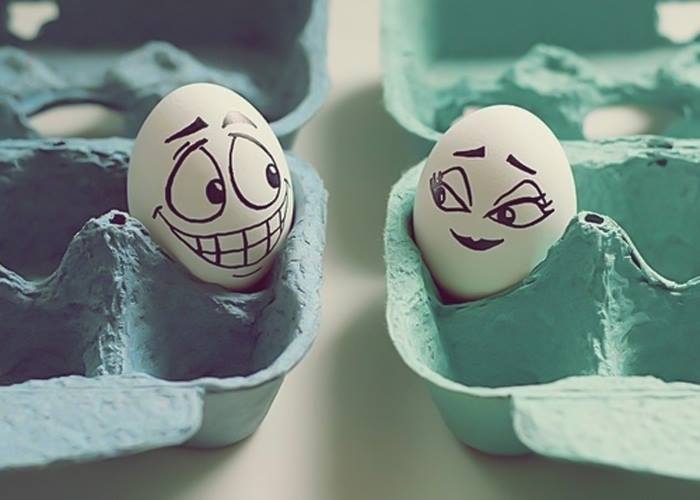 Loving Eggs Funny Photo