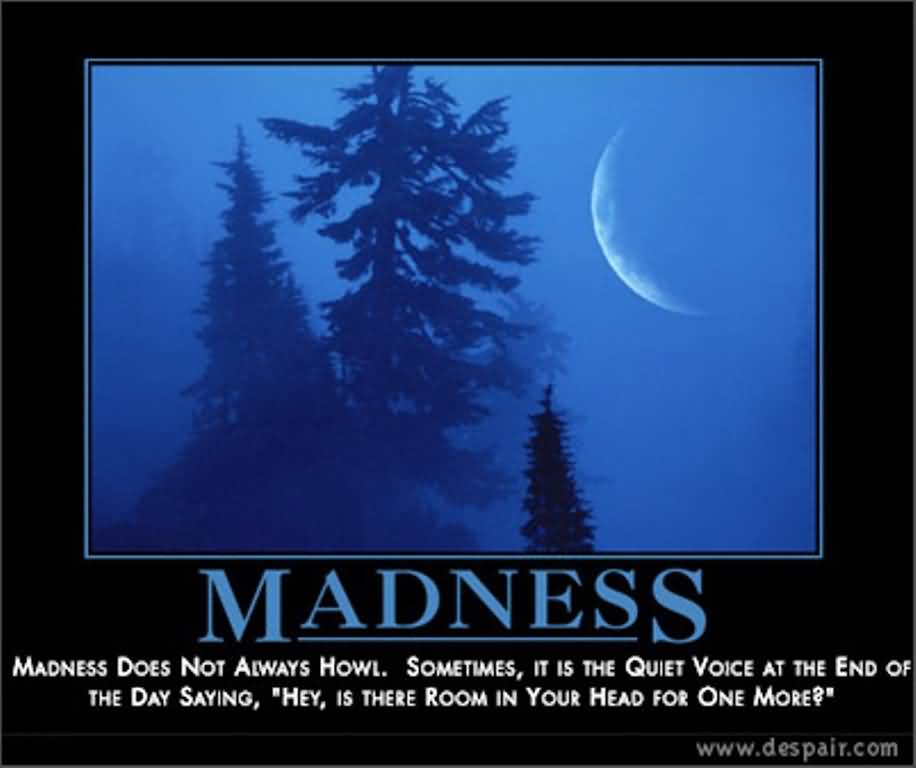 Madness does not always howl. Sometimes, it is the quiet voice at the end of the day saying, Hey, is there room in your head for one more1
