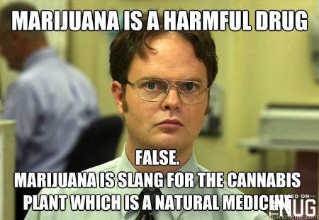 Marijuana Is A Harmful Drug Funny Meme