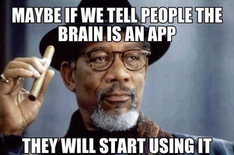 Maybe If We Tell People The Brain Is An App They Will Start Using It Funny Image