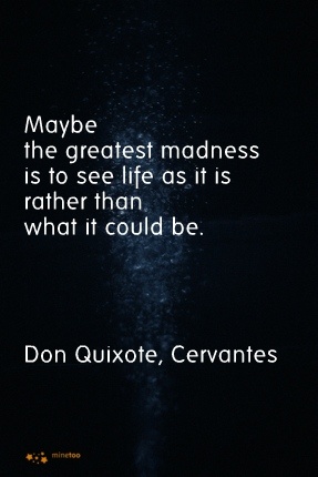 Maybe the greatest madness is to see life as it is rather than what it could be. Don Quixote