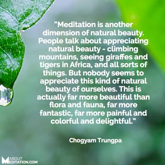 Meditation is another dimension of natural beauty. People talk about appreciating natural beauty—climbing mountains, seeing giraffes and ... Chogyam Trungpa