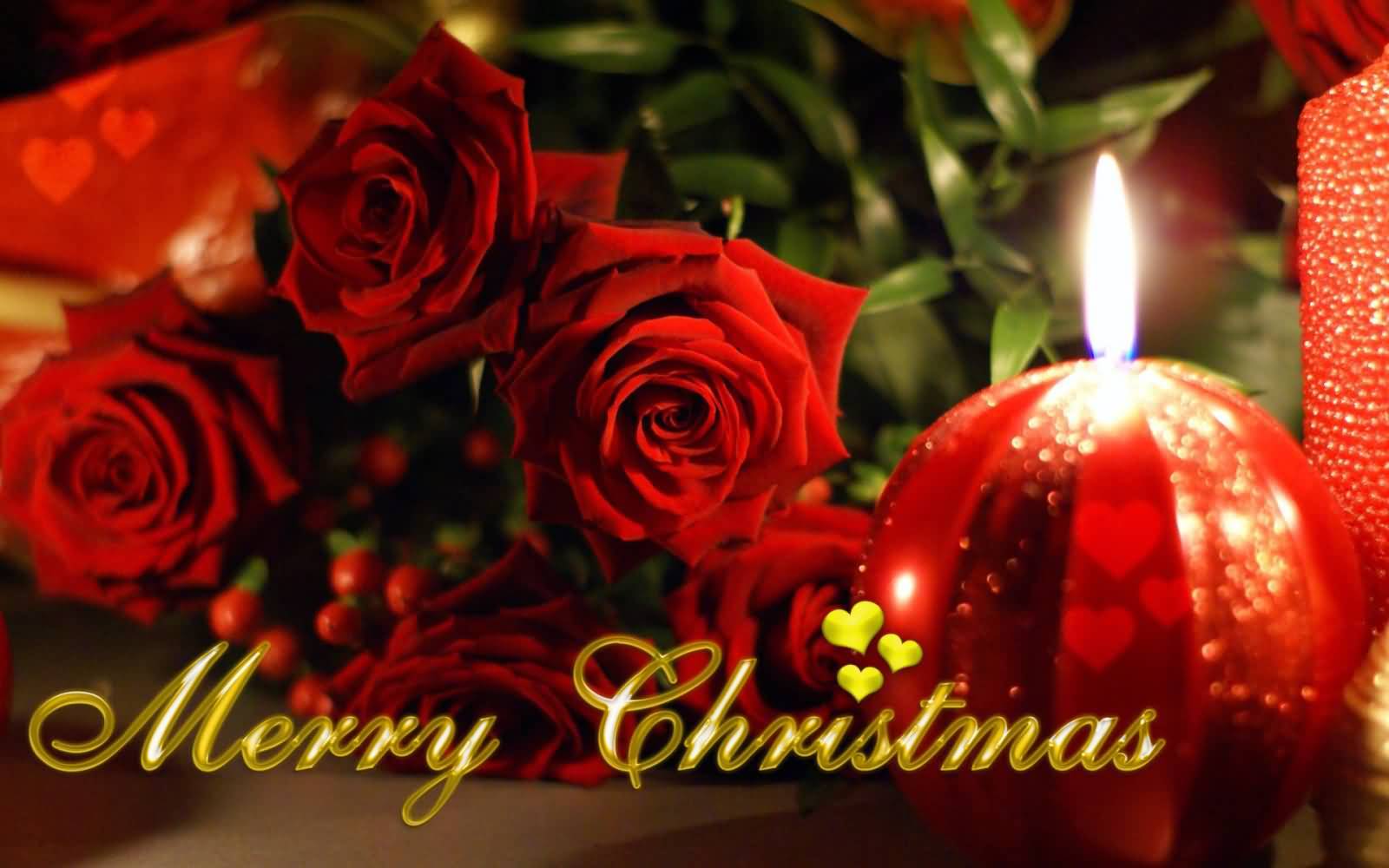Merry Christmas Candle And Rose Buds Picture