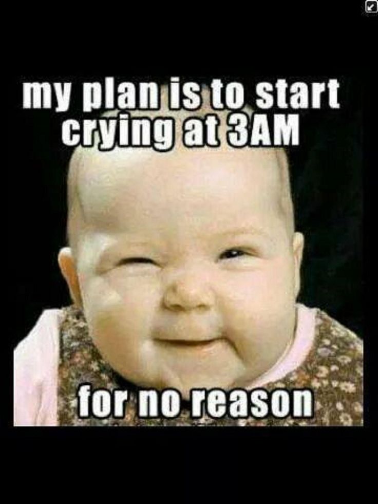 My Plan Is To Start Crying At 3AM For No Reason Funny Baby Meme Picture