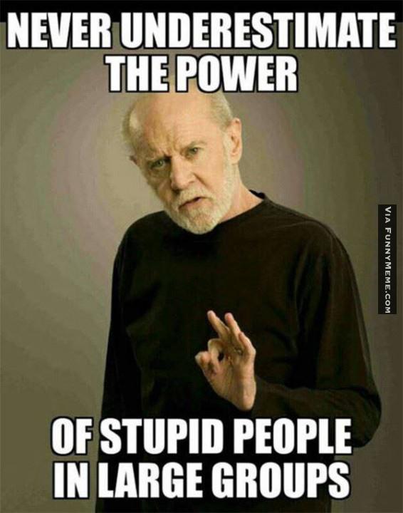 Never Underestimate The Power Of Stupid People In Large Groups Funny Picture