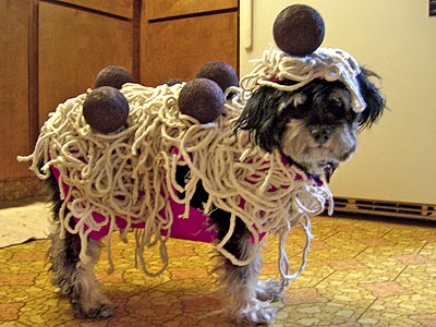 Noodles Funny Pet Costume