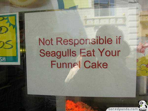 Not Responsible If Seagulls Eat Your Funnel Cake Funny Sign