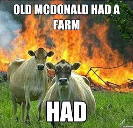 Old MacDonald Had A Farm Funny Animal
