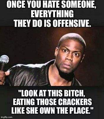 Once You Hate Someone, Everything They Do Is Offensive. Funny Meme