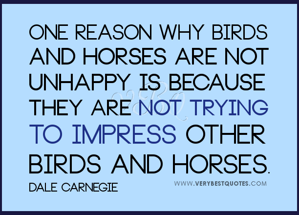 One reason why birds and horses are not unhappy is because they are not trying to impress other birds and horses. DALE CARNEGIE