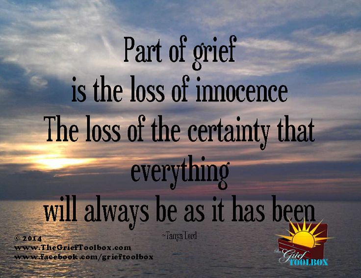 Part of grief is the loss of innocence the loss of the certainty that everything will always be as it has been. Tanya Lord