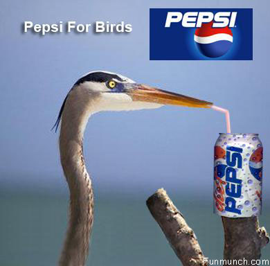 Pepsi For Birds Funny Advertisement