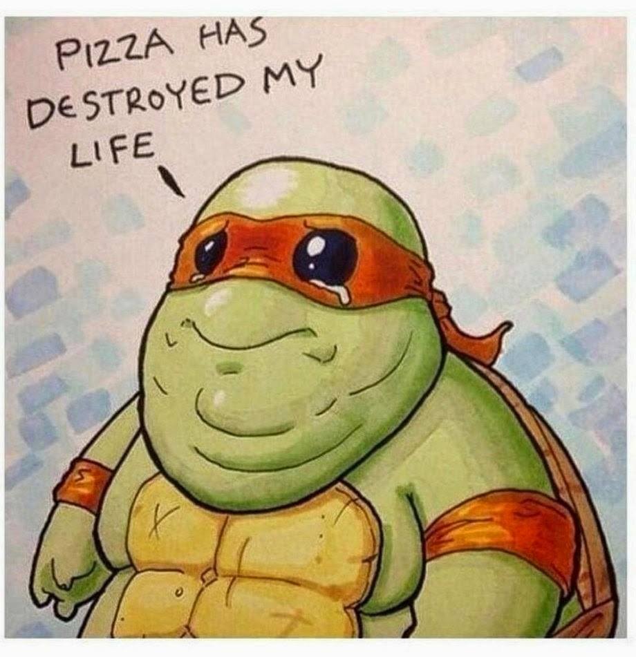 Pizza Has Destroyed My Life Funny Ninja Turtle Picture