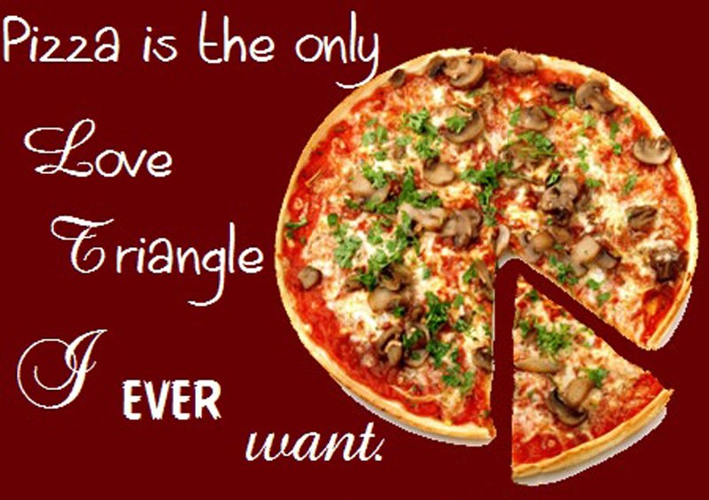 Pizza Is The Only Love Triangle I Ever Want Funny Photo