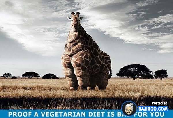 Proof A Vegetarian Diet Is Bad For You Funny Advertisement