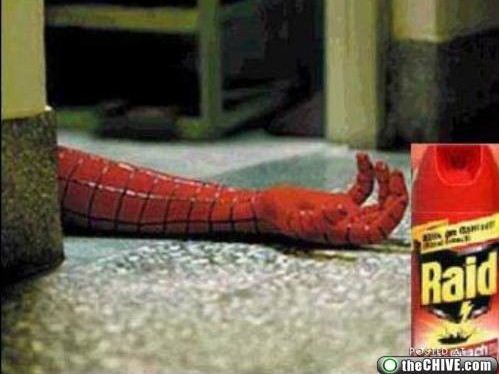 Raid Spray Kill Spiders Funny Advertisement