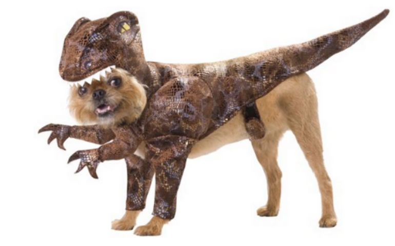 Raptor Funny Pet Costume Picture