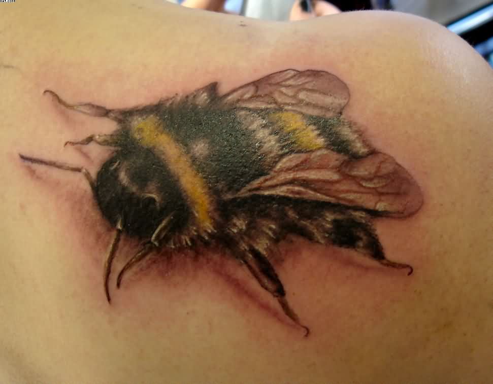 Realistic 3D Bumblebee Tattoo On Right Back Shoulder