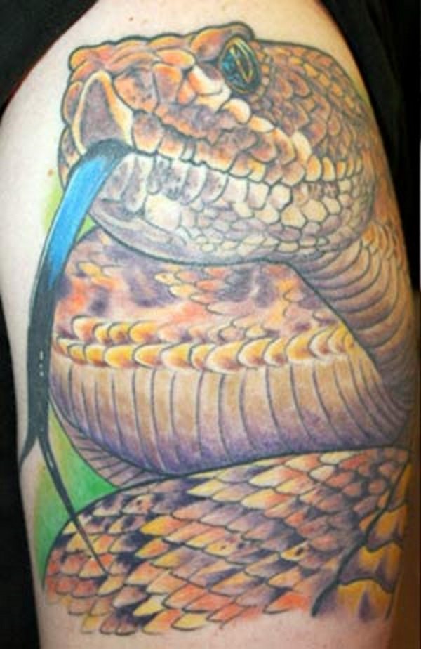 Realistic Rattlesnake Tattoo On Right Half Sleeve