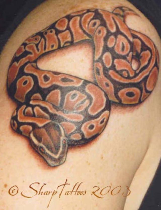 Realistic Snake Tattoo Design For Shoulder