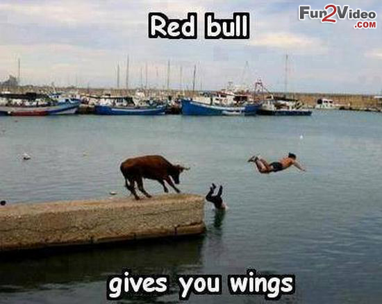 Red Bull Gives You Wings Funny Advertisement
