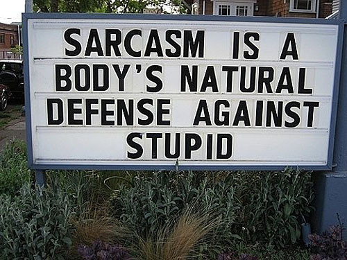 Sarcasm Is A Body's Natural Defense Against Stupid Funny Sign Board