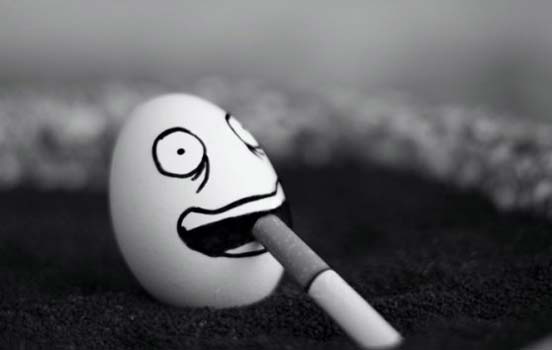 Smoking Egg Funny Picture