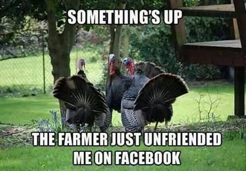 Somethings Up The Farmer Just Unfriended Me On Facebook Funny Thanksgiving